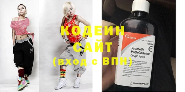 прущие грибы Вяземский
