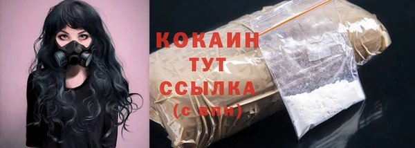 прущие грибы Вяземский