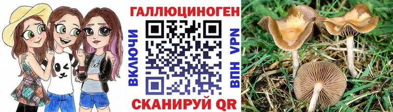 Галлюциногенные грибы ЛСД  Зима 